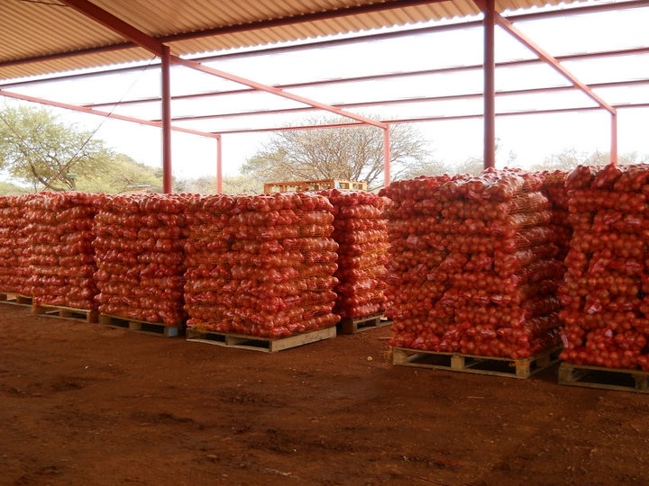 Onions from the Tuli Block, Botswana